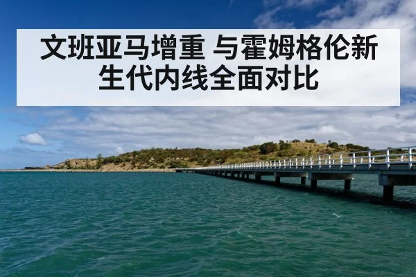 文班亚马增重 与霍姆格伦新生代内线全面对比